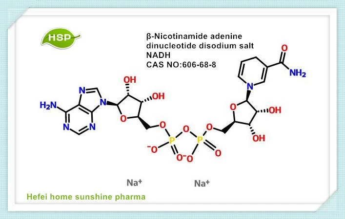 Muối Β-Nicotinamide Adenine Dinucleotide Disodium NADH CAS 606-68-8