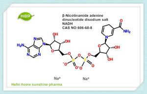 Muối Β-Nicotinamide Adenine Dinucleotide Disodium NADH CAS 606-68-8