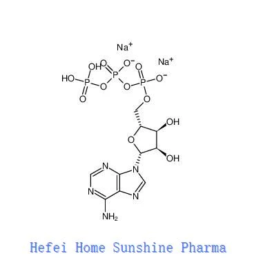Adenosine 5'-triphosphate Muối Disodium ATP CAS 987-65-5