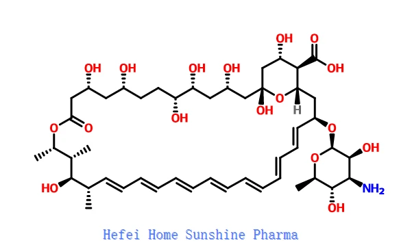 Amphotericin B CAS 1397-89-3