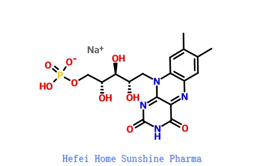 Muối natri Riboflavin 5'-Monophosphate CAS 130-40-5