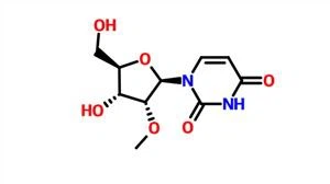 2'-O-metyluridine CAS 2140-76-3