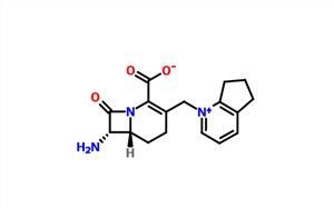 7-ACP CAS 87314-56-5