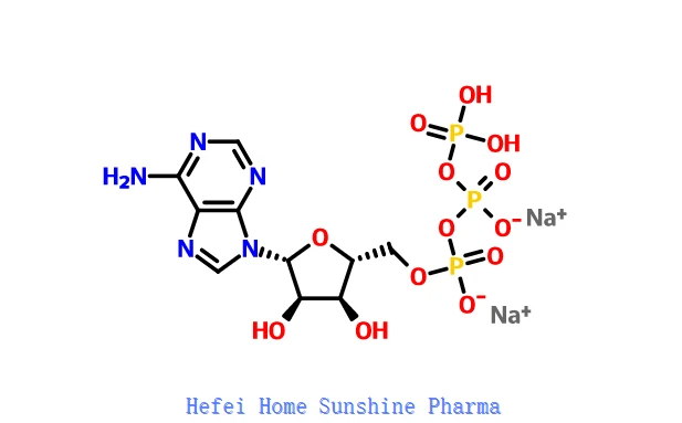 Adenosine 5'-triphosphate Disodium Muối ATP CAS 987-65-5