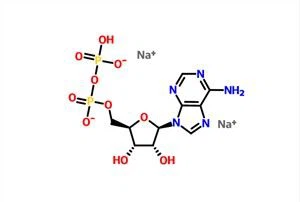 Adenosine 5'-diphosphate Disodium Muối (ADP-Na2) CAS 16178-48-6