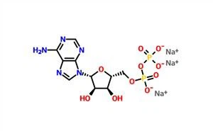 Adenosine 5'-diphosphate Sodium Salt（ADP） CAS 20398-34-9