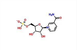 - Nicotinamide Mononucleotide NMN CAS 1094-61-7