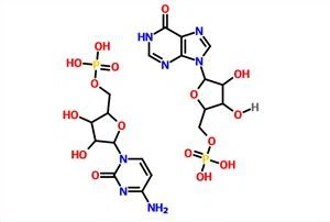 Polyinosinic-polycytidylic Acid Sodium Salt (Poly IC) (PIC) CAS 24939-03-5