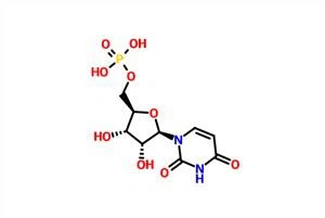 Uridine 5'-monophosphate(UMP-H) CAS 58-97-9