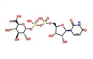 Axit Uridine Diphosphoglucuronic (Axit UDP-g)CAS 2616-64-0